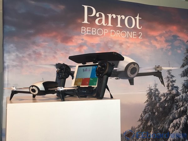 Parrot-1.jpg